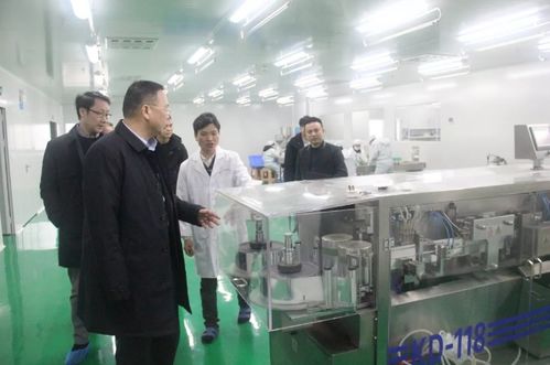 瀏陽經開區黨工委副書記談文昌深入調研道和生物制藥廠，并強調以產教融合賦能長沙教育咨詢發展